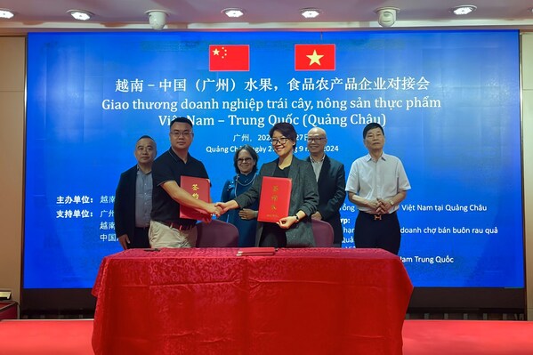betrimex签署谅解备忘录，将率先向中国出口新鲜椰子